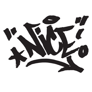 Nice Insights Logo